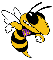 SENIORS-WHS Scholarship Application